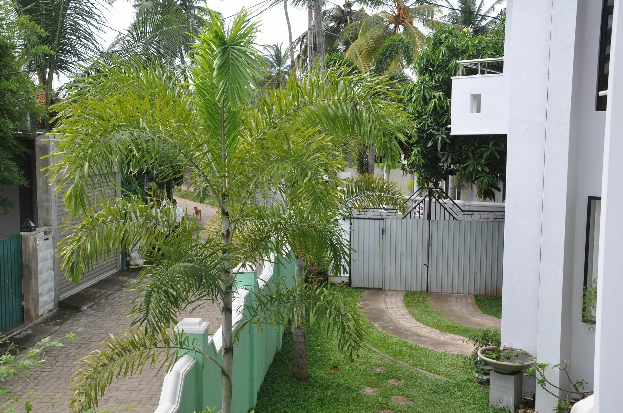 Shakuna Villa Hikkaduwa Bagian luar foto